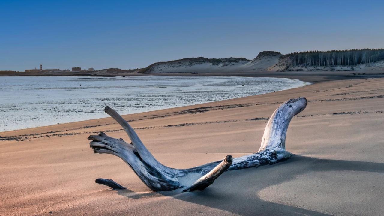 Studio "Les Pieds Dans L'Eau" - 50M Front De Mer Berck Εξωτερικό φωτογραφία